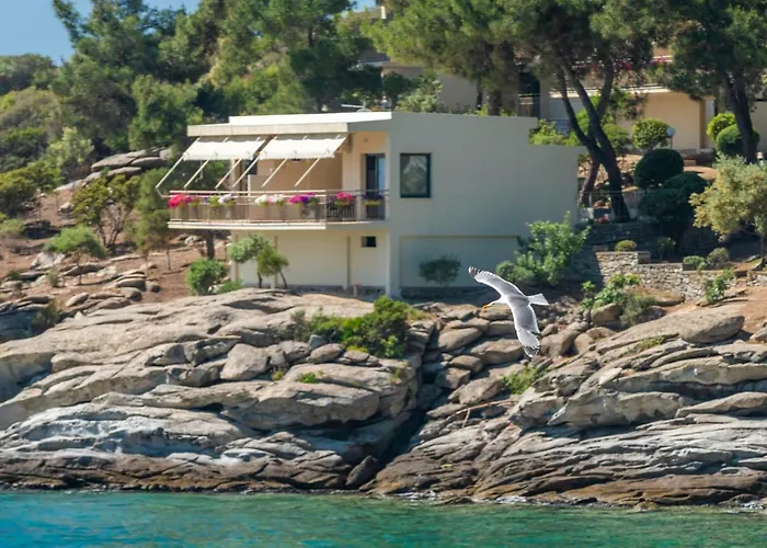 Tosca PalaiónTsiflíkion