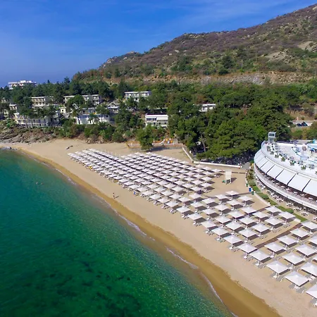 Otel Tosca PalaiónTsiflíkion