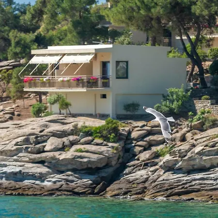 Tosca PalaiónTsiflíkion