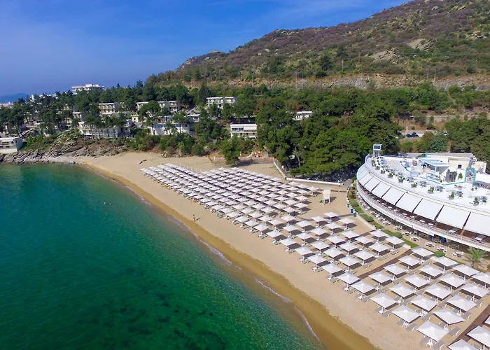 Hotel Tosca PalaiónTsiflíkion