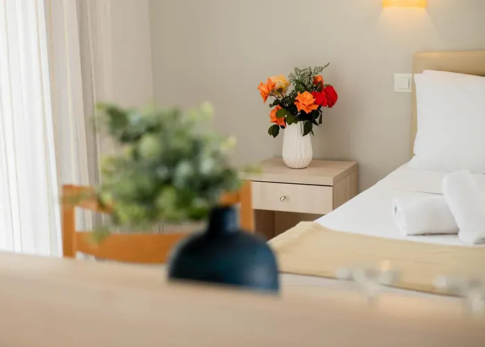 Tosca Hotel PalaiónTsiflíkion